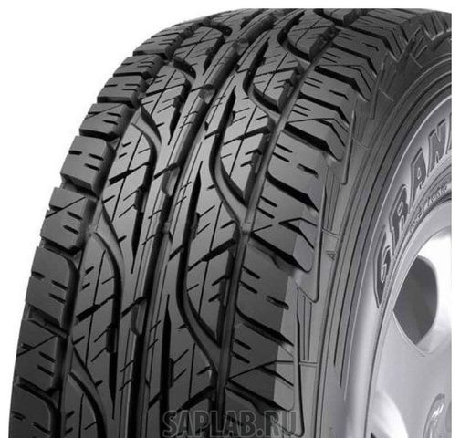 Купить DUNLOP 333233 Шины DUNLOP GRANTREK PT3 225/55 R19 99 V