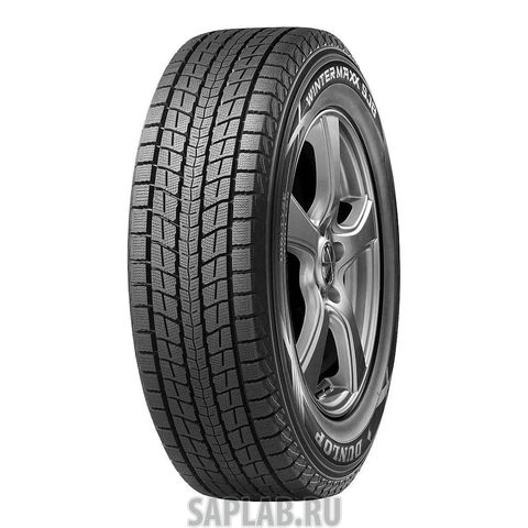 Купить DUNLOP 338064 Шины DUNLOP  295/40/21  R 111 WINTER MAXX Sj8
