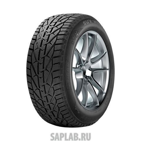 Купить TIGAR 817475 Шины Tigar Winter SUV 255/50 R20 109V XL